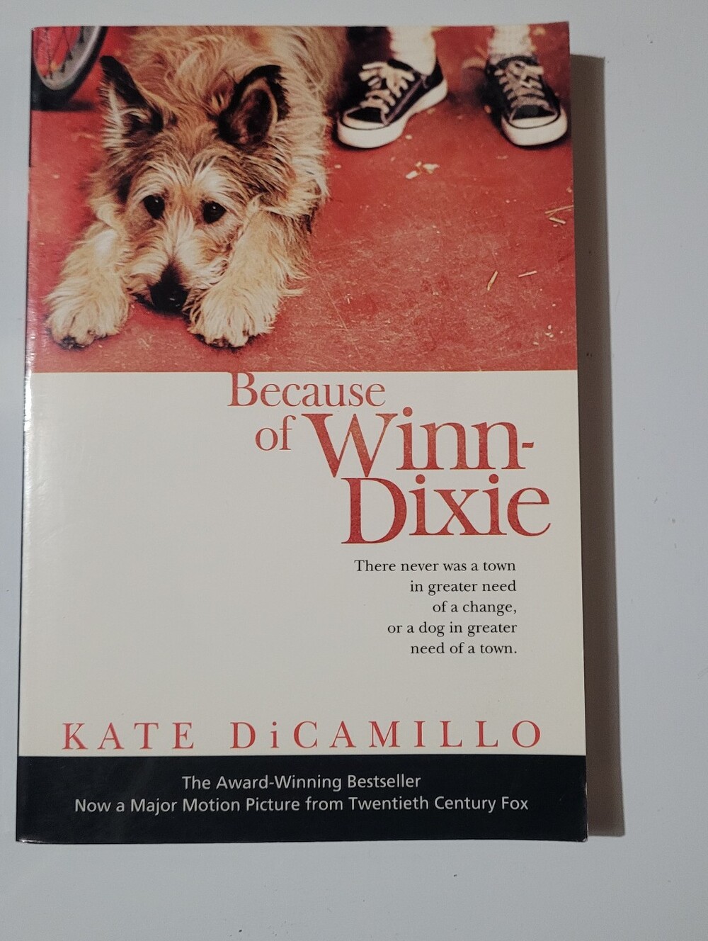 Because of Winn-Dixie